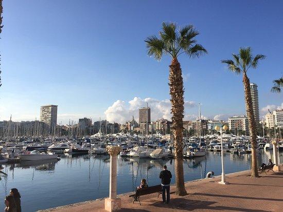 Brandon's & Rose Cerveceria Restaurante